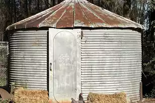 2407 Old State Rd, Cameron, SC 29030 - Photo 48