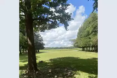 2407 Old State Road, Cameron, SC 29030 - Photo 58