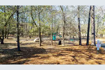 161 Hickory Trace Drive, Goose Creek, SC 29445 - Photo 66