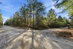 185 Gabby Hall Ct, Holly Hill, SC 29059 - Photo 34