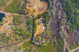 169 Belton Dr, Orangeburg, SC 29118 - Photo 46