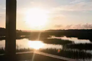 1855 Bolden Dr, Mount Pleasant, SC 29466 - Photo 50