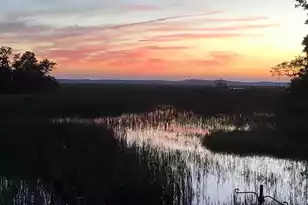 6852 McCants Rd, Wadmalaw Island, SC 29487 - Photo 20