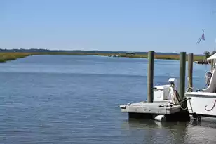 6852 McCants Rd, Wadmalaw Island, SC 29487 - Photo 1