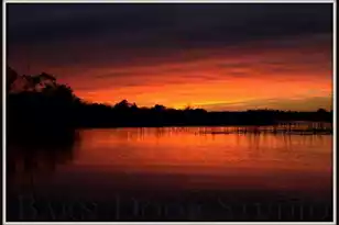 6852 McCants Rd, Wadmalaw Island, SC 29487 - Photo 4