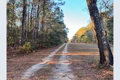 1079 London Middleton Lane, McClellanville, SC 29458 - Photo 4