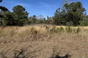 280 Lighthouse Ln, Green Pond, SC 29446 - Photo 1