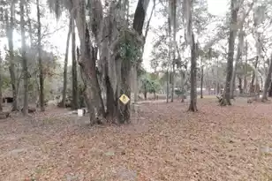 Lot 4 Edisto Oak Ln, Edisto Island, SC 29438 - Photo 1