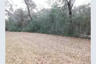 Lot 4 Edisto Oak Lane, Edisto Island, SC 29438 - Photo 2