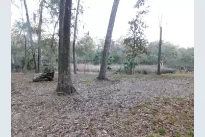 Lot 4 Edisto Oak Lane, Edisto Island, SC 29438 - Photo 10