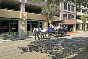 15 Horlbeck Alley, Charleston, SC 29401 - Photo 30