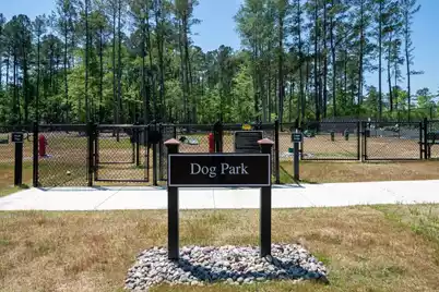 355 Dahlia Row Drive, Summerville, SC 29486 - Photo 58