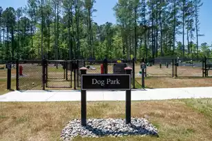 355 Dahlia Row Dr, Summerville, SC 29486 - Photo 58