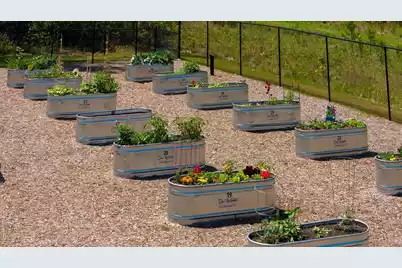 355 Dahlia Row Drive, Summerville, SC 29486 - Photo 60