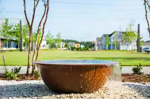 606 Scholar Wy, Summerville, SC 29486 - Photo 70