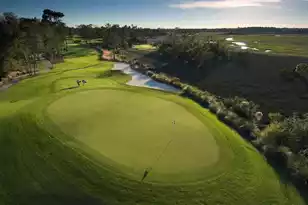 54 Watroo Point, Charleston, SC 29492 - Photo 66