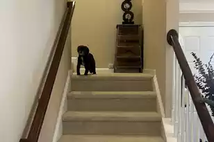 9006 Parlor Dr, Ladson, SC 29456 - Photo 12