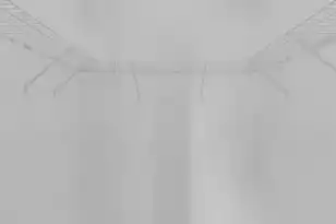 2717 Palmetto Hall Blvd, Mount Pleasant, SC 29466 - Photo 22