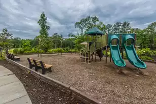 9931 Winged Elm St, Ladson, SC 29456 - Photo 32