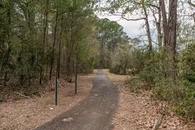 1905 Bristle Pine Court, Mount Pleasant, SC 29466 - Photo 16