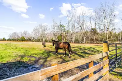 163 Keans Neck Road, Seabrook, SC 29940 - Photo 54