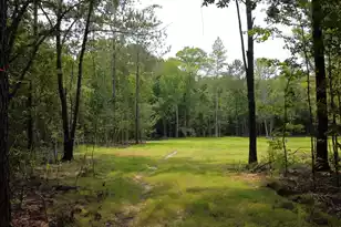 777 Crystal Lake Trail, Huger, SC 29450 - Photo 1