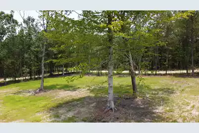 777 Crystal Lake Trail, Huger, SC 29450 - Photo 2