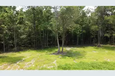 777 Crystal Lake Trail, Huger, SC 29450 - Photo 8