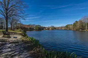 205 Woodlake Dr, Summerville, SC 29485 - Photo 54