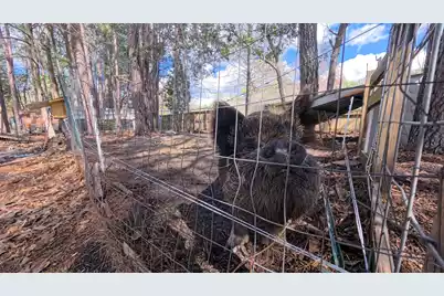 628 Deepwood Court, Moncks Corner, SC 29461 - Photo 58