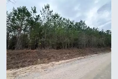 Bff II 2 J C Barefoot Road #Bff II 2, Patrick, SC 29584 - Photo 6