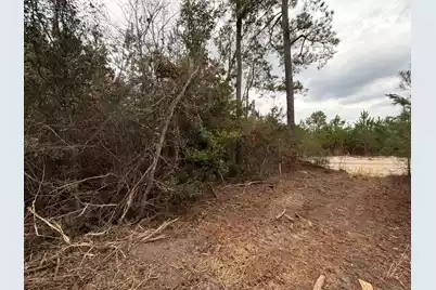 Bff II 2 J C Barefoot Road #Bff II 2, Patrick, SC 29584 - Photo 8