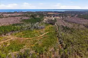 662 Country Pond Ln, Cross, SC 29436 - Photo 40