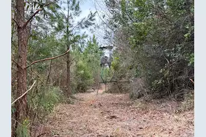 Bff II 3 J C Barefoot Road, Patrick, SC 29584 - Photo 2