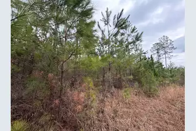 Bff II 3 J C Barefoot Road, Patrick, SC 29584 - Photo 12