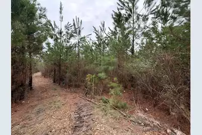 Bff II 3 J C Barefoot Road, Patrick, SC 29584 - Photo 8