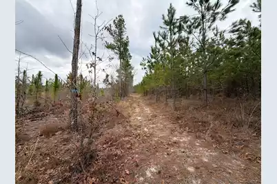 Bff II 3 J C Barefoot Road, Patrick, SC 29584 - Photo 16