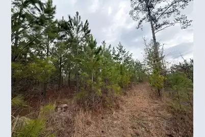 Bff II 3 J C Barefoot Road, Patrick, SC 29584 - Photo 10