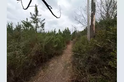 Bff II 4 J C Barefoot Road, Patrick, SC 29584 - Photo 1