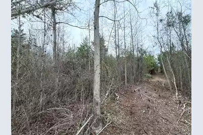 Bff II 4 J C Barefoot Road, Patrick, SC 29584 - Photo 14