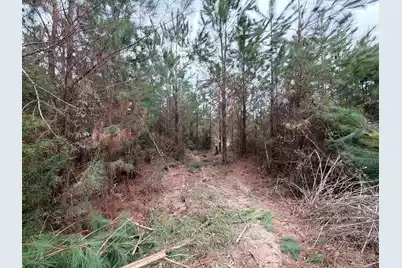 Bff II 4 J C Barefoot Road, Patrick, SC 29584 - Photo 10