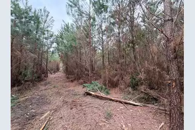 Bff II 4 J C Barefoot Road, Patrick, SC 29584 - Photo 16