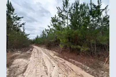 Bff II 4 J C Barefoot Road, Patrick, SC 29584 - Photo 4