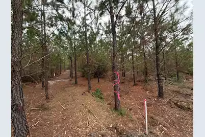 Bff II 4 J C Barefoot Road, Patrick, SC 29584 - Photo 20