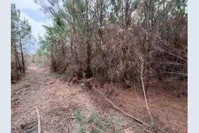 Bff II 4 J C Barefoot Road, Patrick, SC 29584 - Photo 12