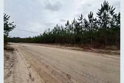 Bff II 4 J C Barefoot Road, Patrick, SC 29584 - Photo 6