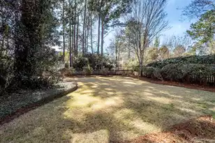 294 Jardinere Walk, Mount Pleasant, SC 29464 - Photo 46