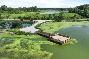 438 Tulip Poplar Dr, Moncks Corner, SC 29461 - Photo 28