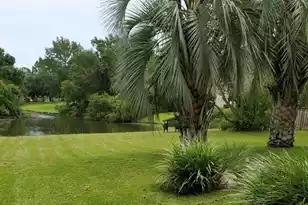 386 Jardinere Walk, Mount Pleasant, SC 29464 - Photo 20