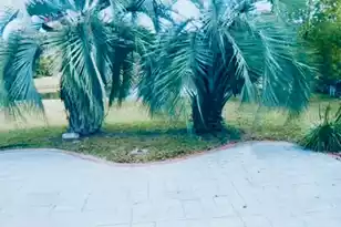 386 Jardinere Walk, Mount Pleasant, SC 29464 - Photo 16